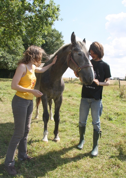 Lise, percheronne 18 mois très maigre arrivée à l'asso - Page 9 4-115eed7