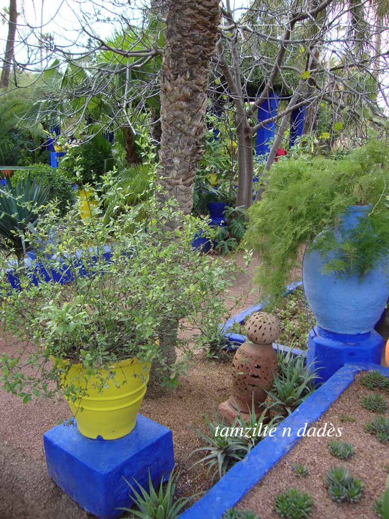 Jardin Majorelle : un éden à Marrakech Jardin6-1973412