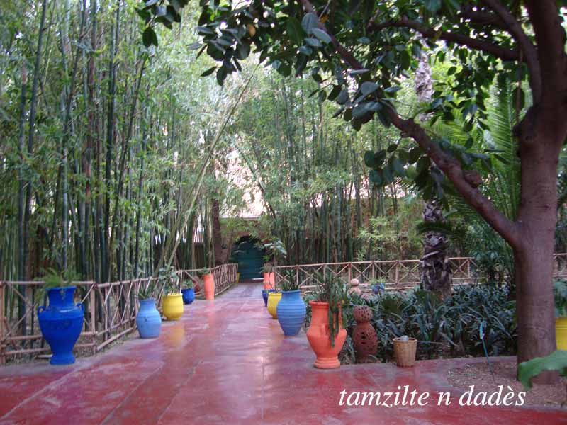 Jardin Majorelle : un éden à Marrakech Jardin14-19734ac