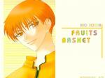 Fruits Basket Wall-bfhaejlz-5e45d2