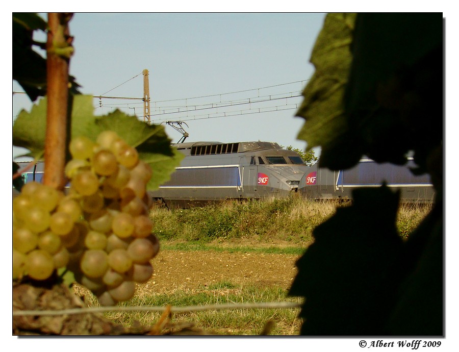 Variations sur les vignes Ccl20090906-165-12cc9d5