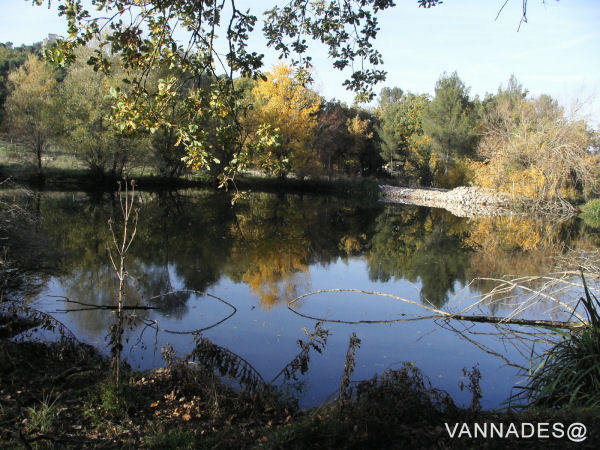 Couleurs d' automne de ma région ( var ) 10-156cfa1