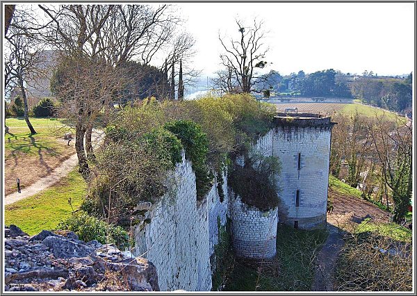 Moyen Age - Chateaux forts - Chinon_0008_714-a-1bcd15a