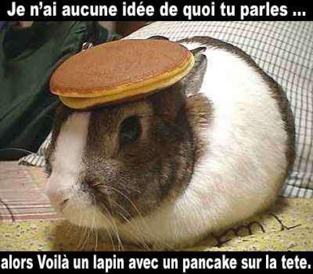 Pourquoi c est vide ? 209184lapin_pancake-1debdf7