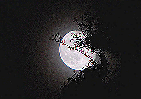Crépuscule ! Moon-1ea001f