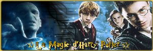 Si vous dsirez nous rejoindre Magie-d-harry-potter1-6afa64