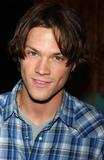 JARED - archiv 1 - Strnka 26 Th_68754_h007_122_622lo