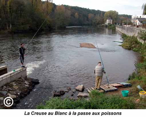 AAPPMA de l'Indre (36)  : Présentation de l’association  : Blanc (Le) - «Le Nénuphar» 13gif-873a8e