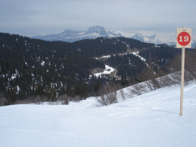 Coq / Megève Jaillet Dsc03795-685ed9