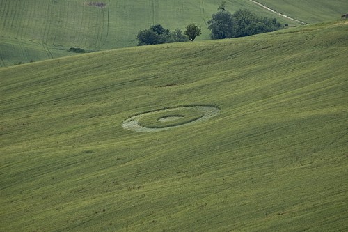 Crop Circle 2010 - Page 5 Italie-16-1d17966