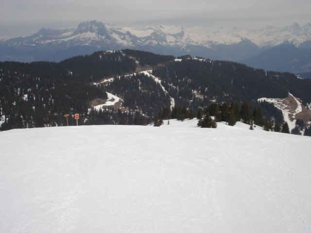 Coq / Megève Jaillet Dsc03790-685e91