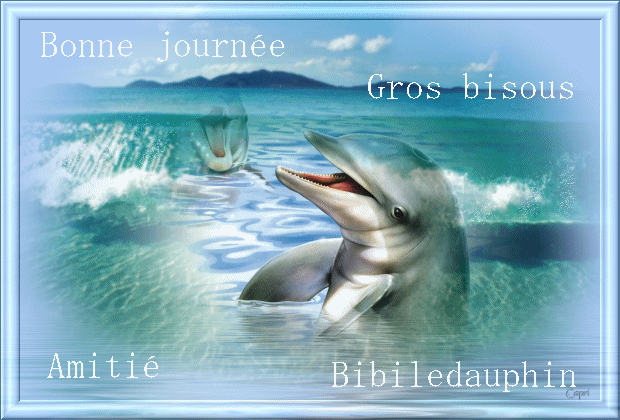 BiBiledauphin est contente  d'etre dans un forum avec des petits dauphins ...... Brigitte-c68d67