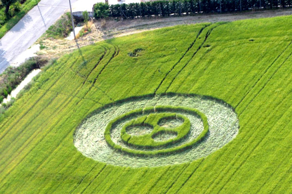 Crop Circle 2010 - Page 5 Italie-15a-1d0c5dd