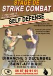 Stage de Strike Combat Affiche-stage-strike-3-20f3048