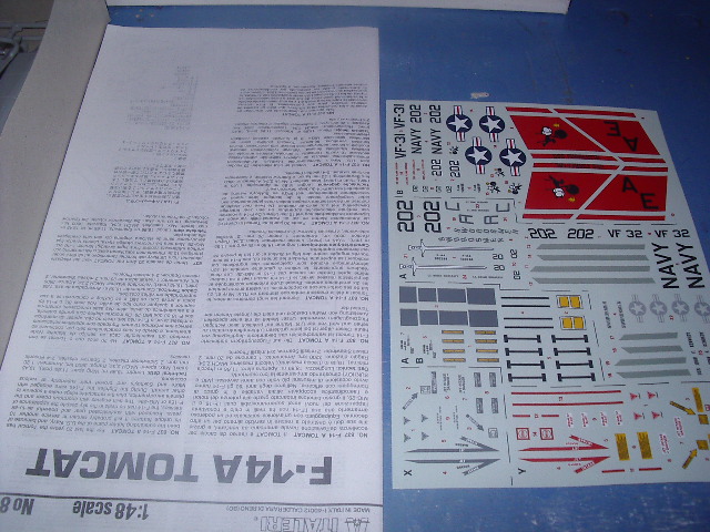 F14A Tomcat Plus -[Italeri] 1/48  Imgp4826-1c1c091