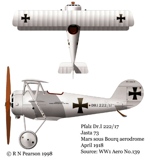 Pfalz DR.I (triplan) 73-1-21654cc