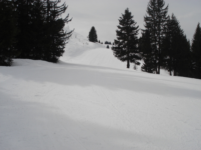 Coq / Megève Jaillet Dsc03800-685ef6