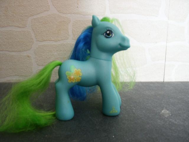 Notre collection - Page 2 Notre-collection-poneys-015-6dcffd