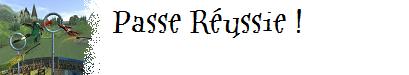 Entraînement au Quidditch : Les premiers pas Passe-r-ussie-140bc55