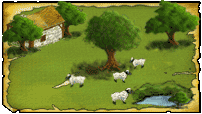 [Le paysan] L'élevage de moutons Champ4-0-4-c713fc