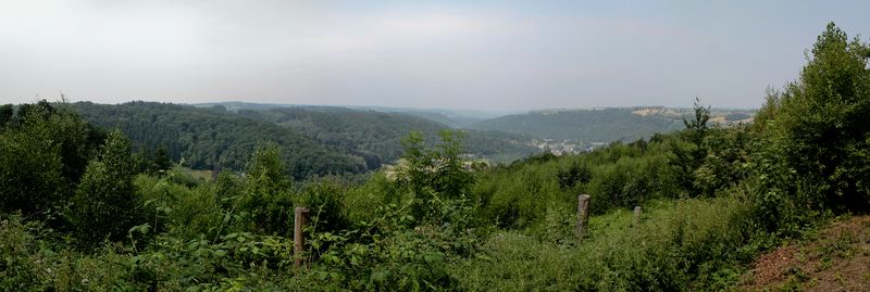 la vallée de l'amblève - les fonds de Quarreux 3 juillet 201 01-panorama-2-a-1df4d25