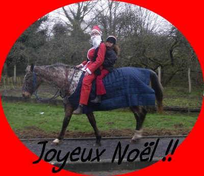 CONCOURS PHOTOS: Les chevaux et Noël...Venez voter... Z-16fbec3