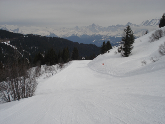 Coq / Megève Jaillet Dsc03799-685eed