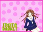 Fruits Basket Wall-fhajkgm-5e467b