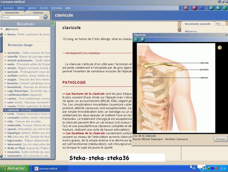 Télécharger gratuit Larousse Medical 2011 Steka11-13efbd6