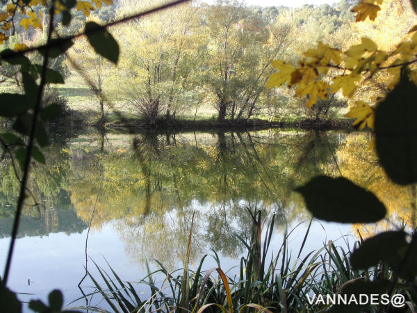 Couleurs d' automne de ma région ( var ) 13-156cfd7