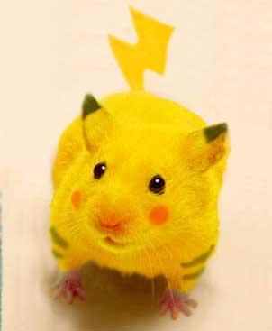 Test d'insertion d'image Pikachu2yf-7dca16