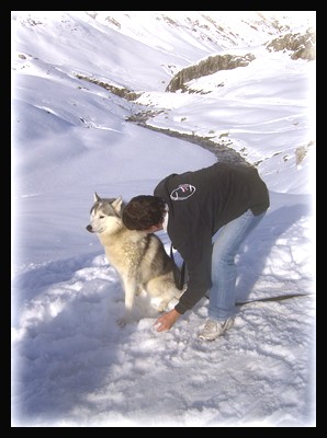 quel pied d habiter au pied des pyrenees! Hpim4623-7f14a4