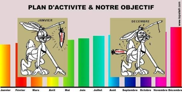 Prime de l'excellence pour les profs méritants ?  Carotte-11af3d3