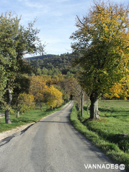 Couleurs d' automne de ma région ( var ) 14-156cfe6