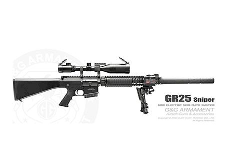 SR-25 paradize Sr25-9b5de1