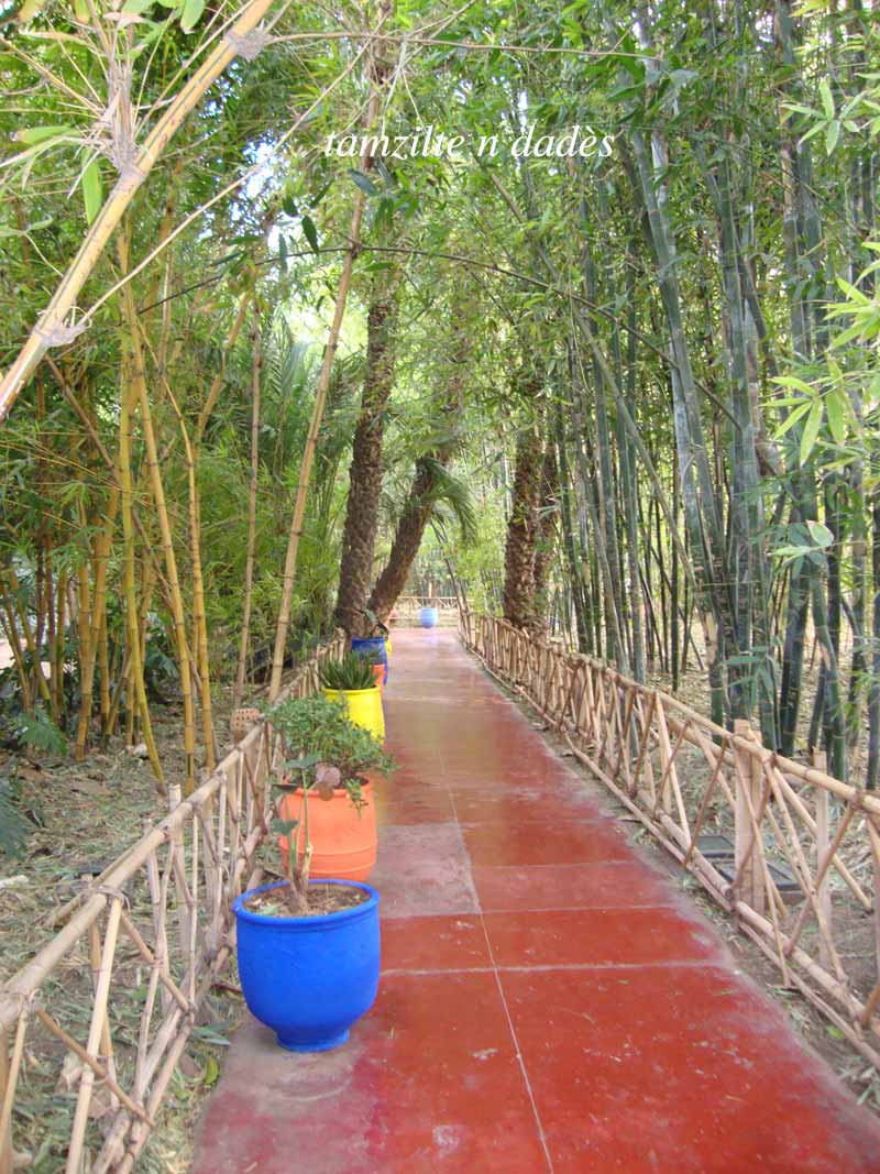 Jardin Majorelle : un éden à Marrakech Jardin13-197349f