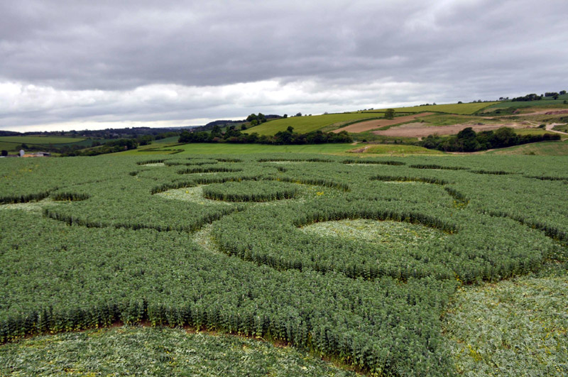 Crop Circle 2010 - Page 5 Gb832-1d04fa1