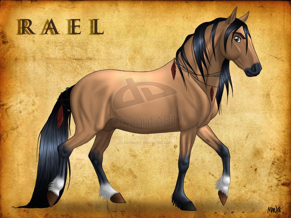 Rael-Mâle-Etalon Domestique Cheval-d-indien3-f1feee