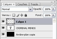 CRIMINAL MINDS: L'écriture Titape-2-753485