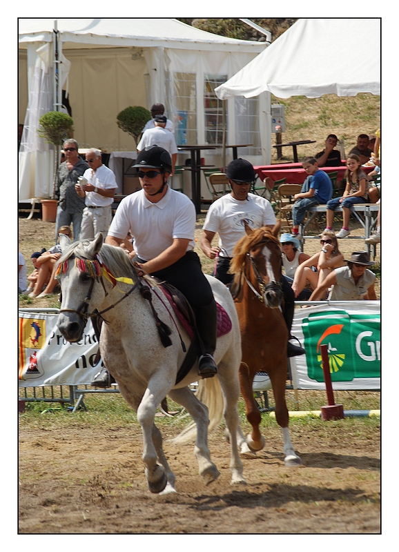 Je voudrais tirer mon chapeau à ces 3 cavaliers Dsc01437-203b578