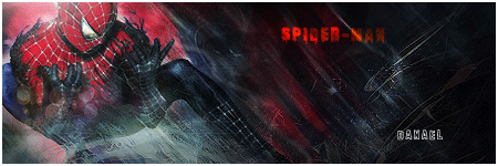 Galerie Danael Spiderman-21a12b4