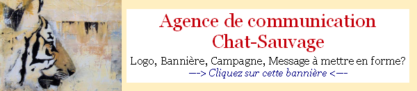 Agence en communication Banner-7876ae