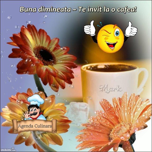 CAFEAUA DE DIMINEAȚĂ - Pagina 6 Izv5vrz9twg