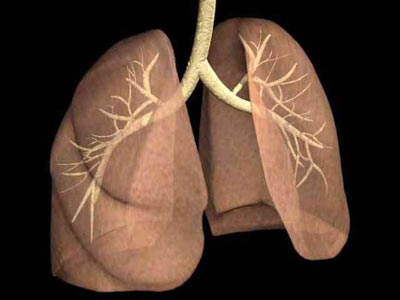 Organlar ne zaman yalanyor? Organlar4