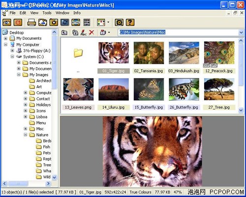 برنامج XnView 1.98.6 لعرض الصور وتحويل امتداداتها 000678201