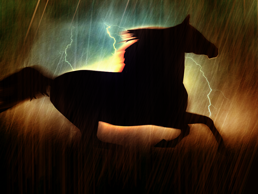 Pluie Grise Black_horse_by_serdarguler-2a60f1