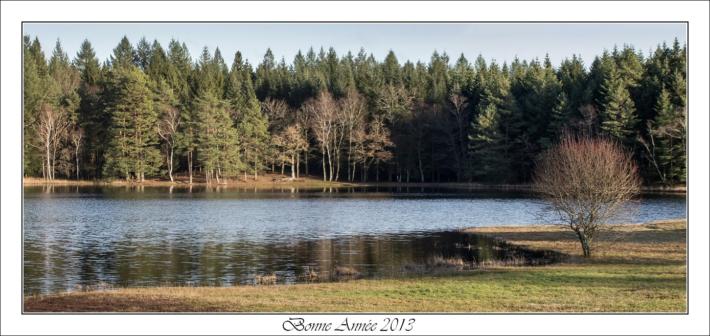 Bonne Année à toutes et tous ... Ba_08-3ac5954