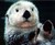 :loutre: Loutre-12b68de