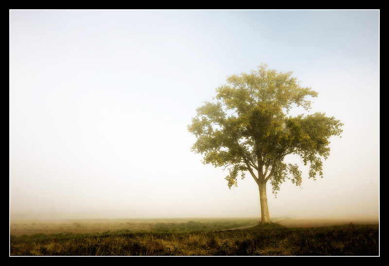 Douce solitude _mg_1262-copie2-2419f8c