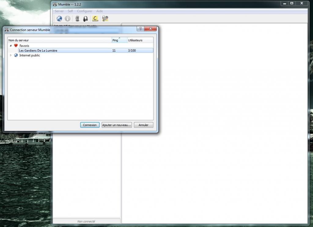 4. Connexion au vocal Mumble Mumble-serveur-27115cf